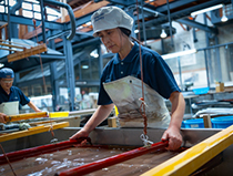 �螀���@���c��������