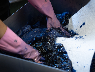 染色 中本知汐さん