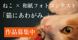 �A���K�~���ۃ~�j�v�����g�W