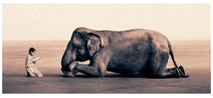 �O���S���[�y�[�p�[