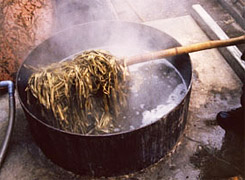 �����̎Ϗn