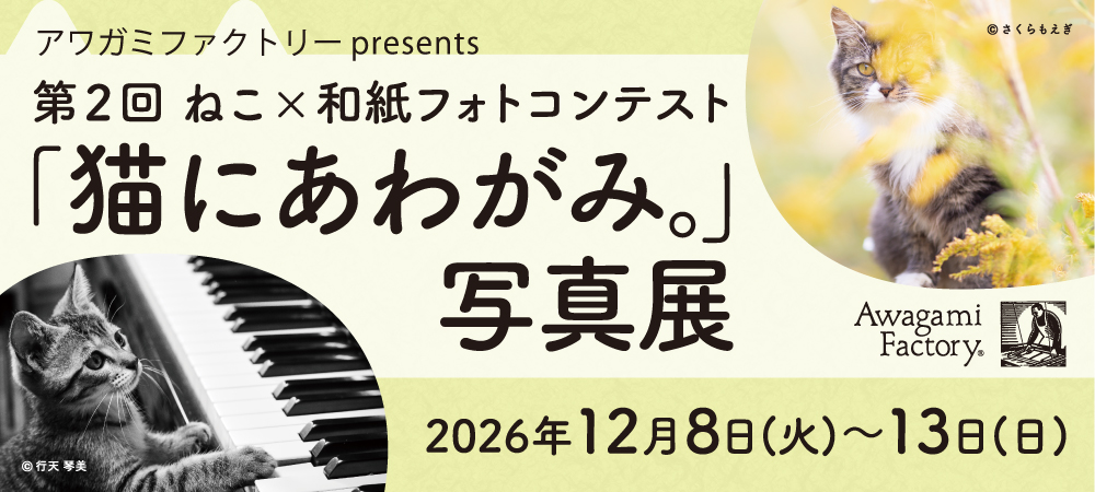 猫にあわがみ